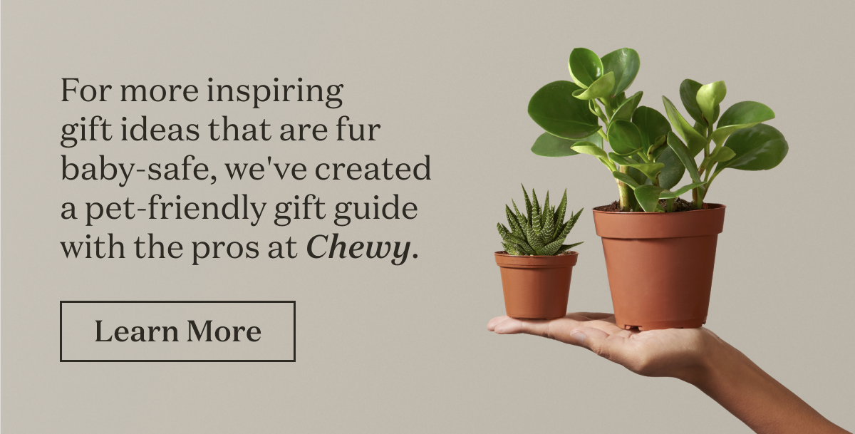 For more inspiring gift ideas that are fur baby-approved 