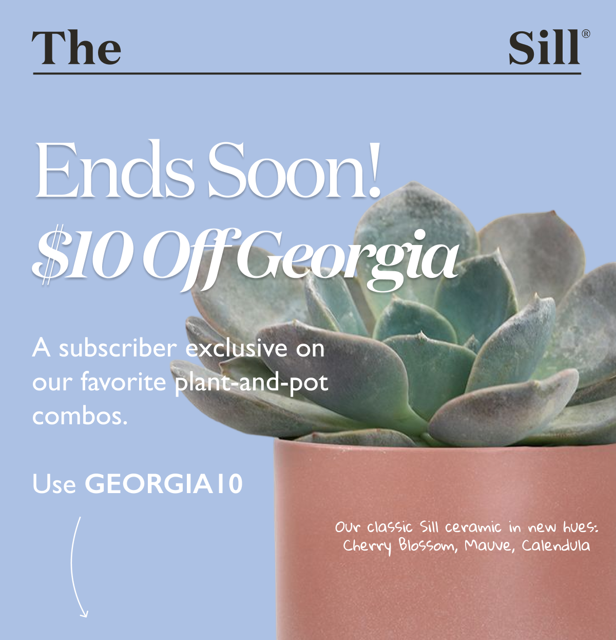 A subscriber exclusive on our favorite plant-and-pot combos with GEORGIA10.