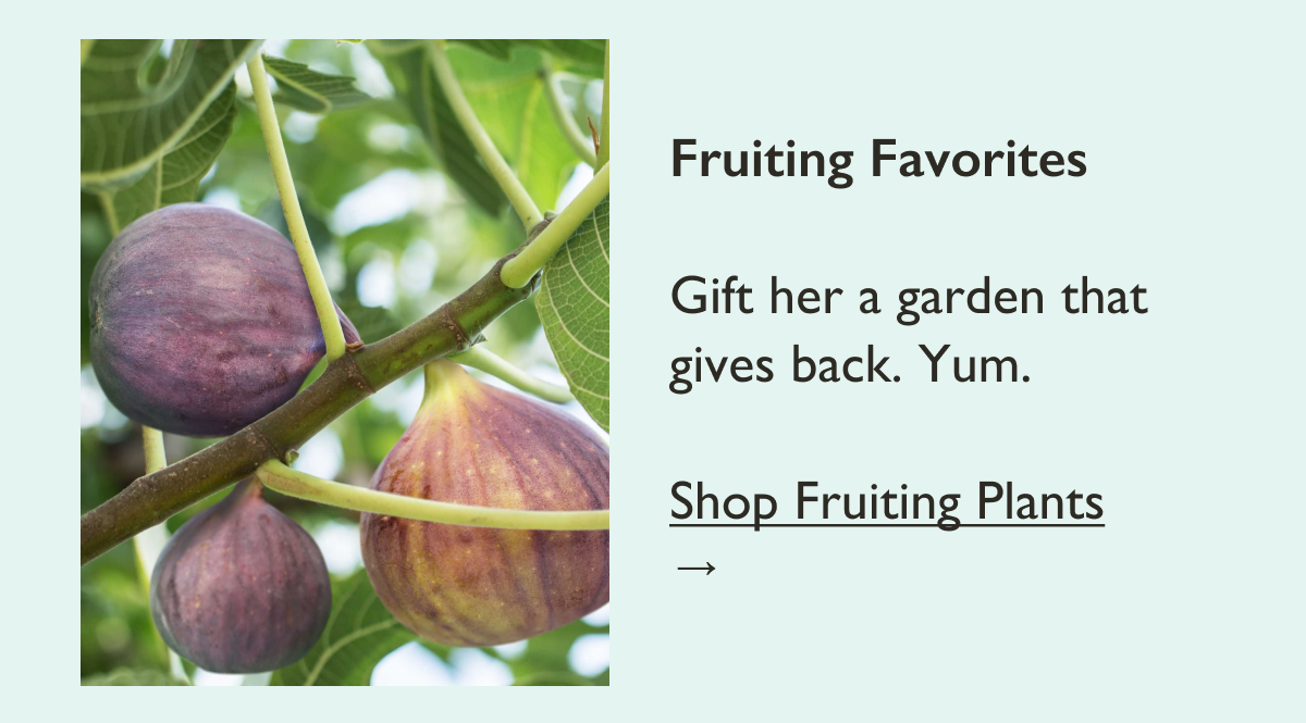 Fruiting Favorites: Gift her a garden that gives back. Yum. Shop Fruiting Plants