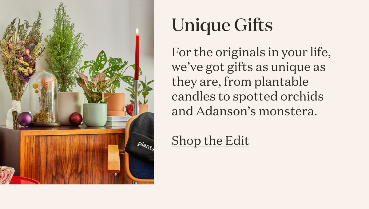 Unique Gifts. For the originals in your life, we’ve got gifts as unique as they are, from plantable candles to spotted orchids and Adanson’s monstera.