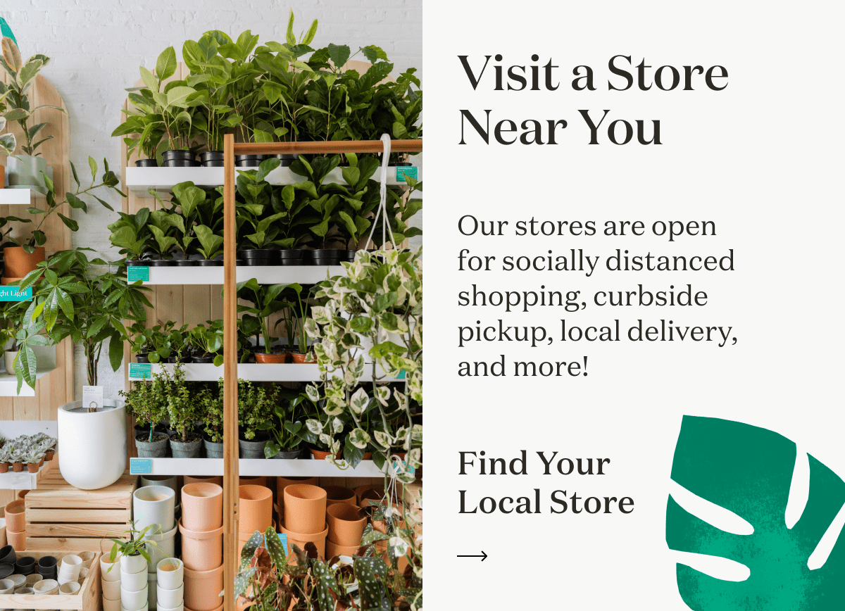Visit a Store Near You