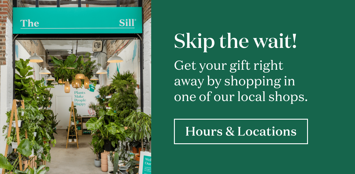 Skip the wait! Get your gift right away by shopping in one of our local shops.