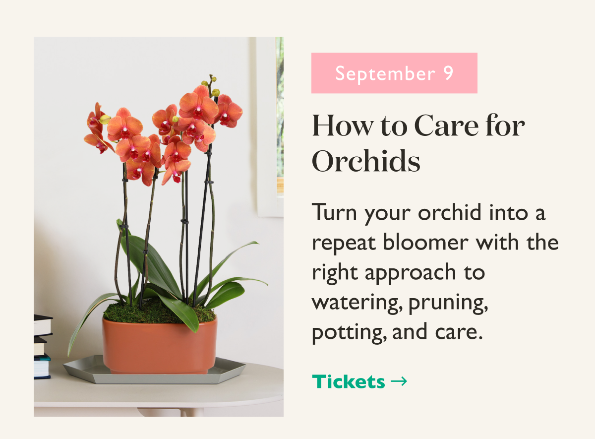 How to Care for Orchids Workshop