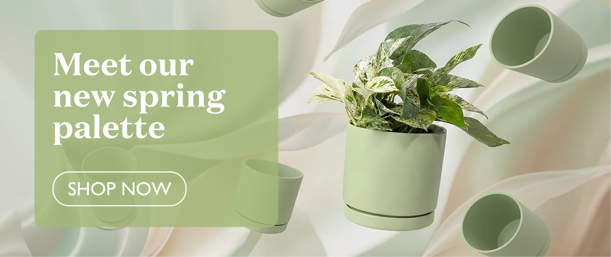 Meet our new spring palette: Sage, Bubblegum, and Lavender. Shop now. 