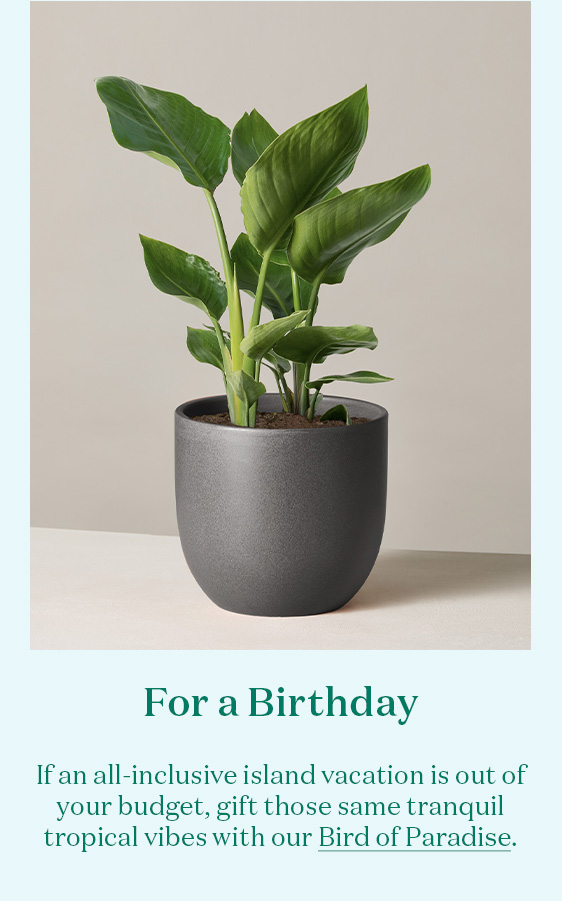 For a Birthday