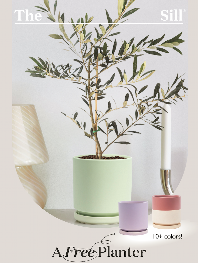 Free Planter Happening Now