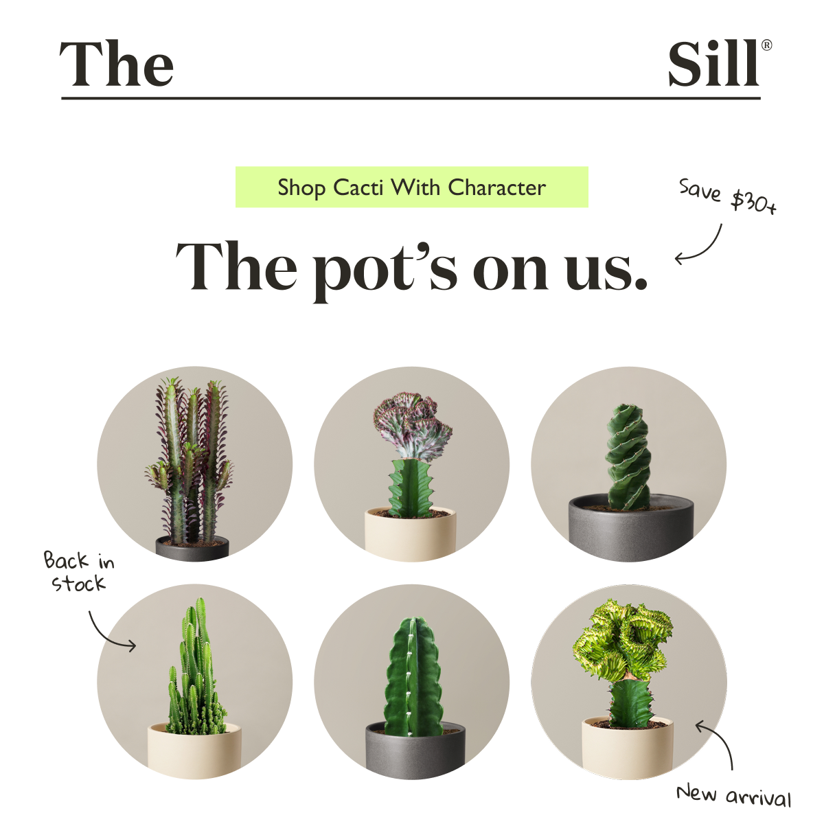 Shop Cacti with Character: The pot's on us - save $30+. While supplies last.