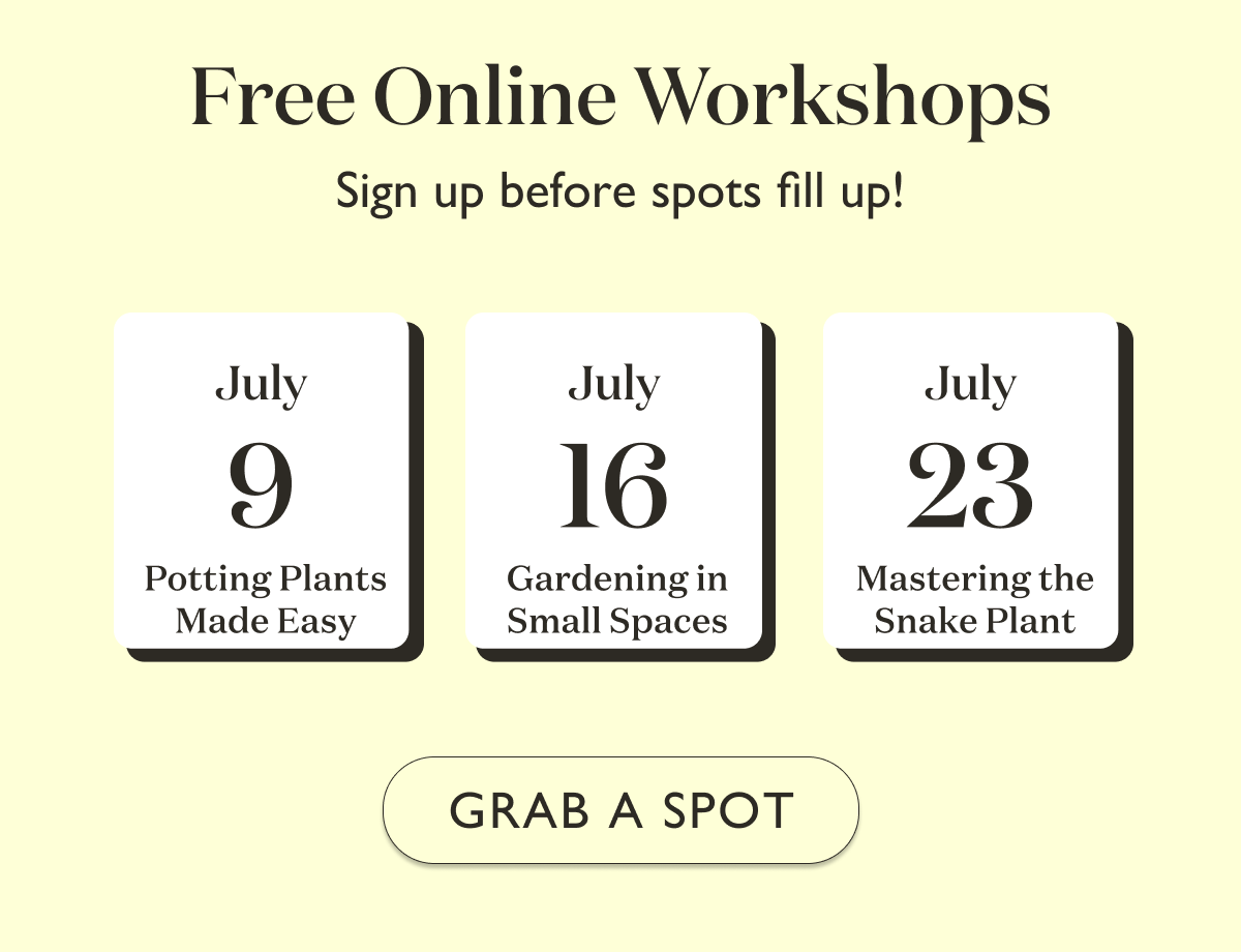 Grab a spot for a Free Online Workshop