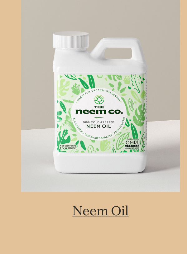 Neem Oil