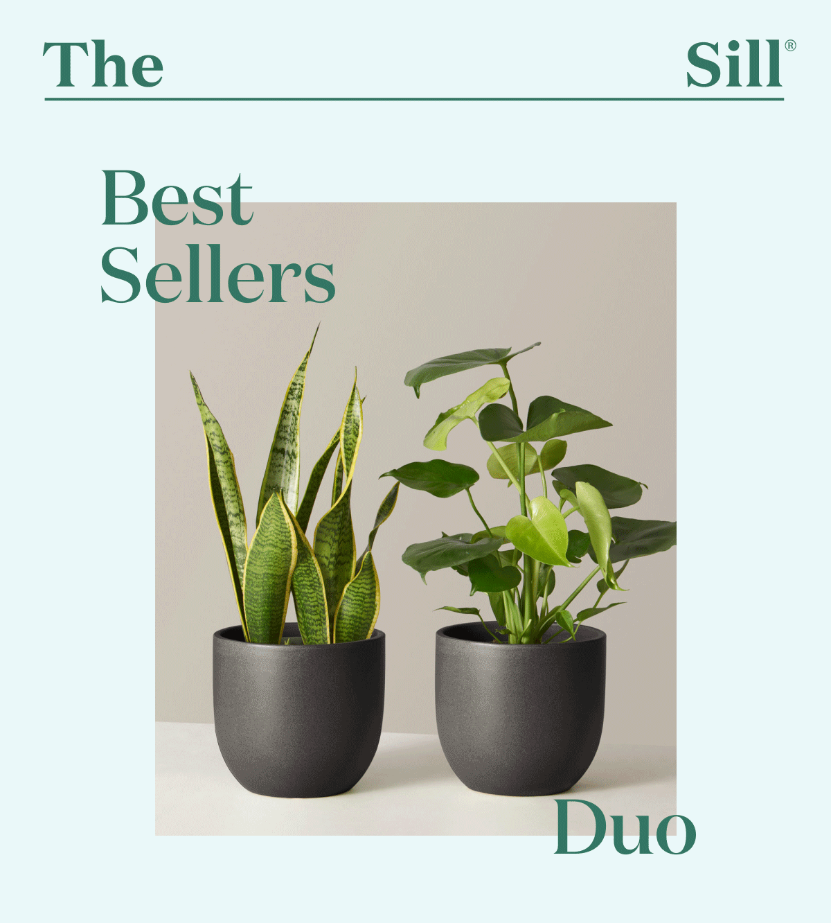 Best Sellers Duo