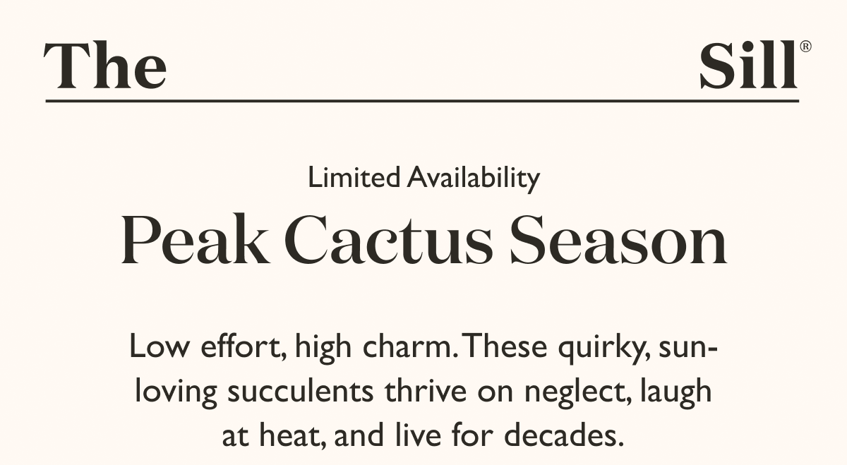 Low effort, high charm. These quirky, sun-loving succulents thrive on neglect, laugh at heat, and live for decades.