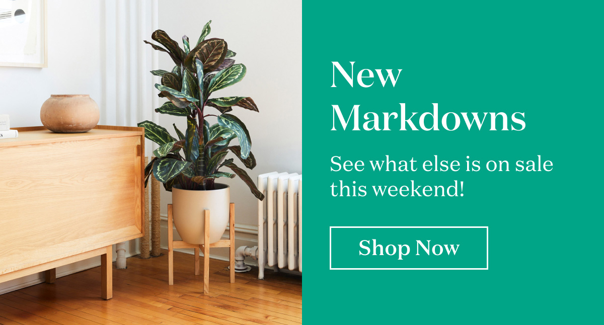 New Markdowns. See what else is on sale this weekend!