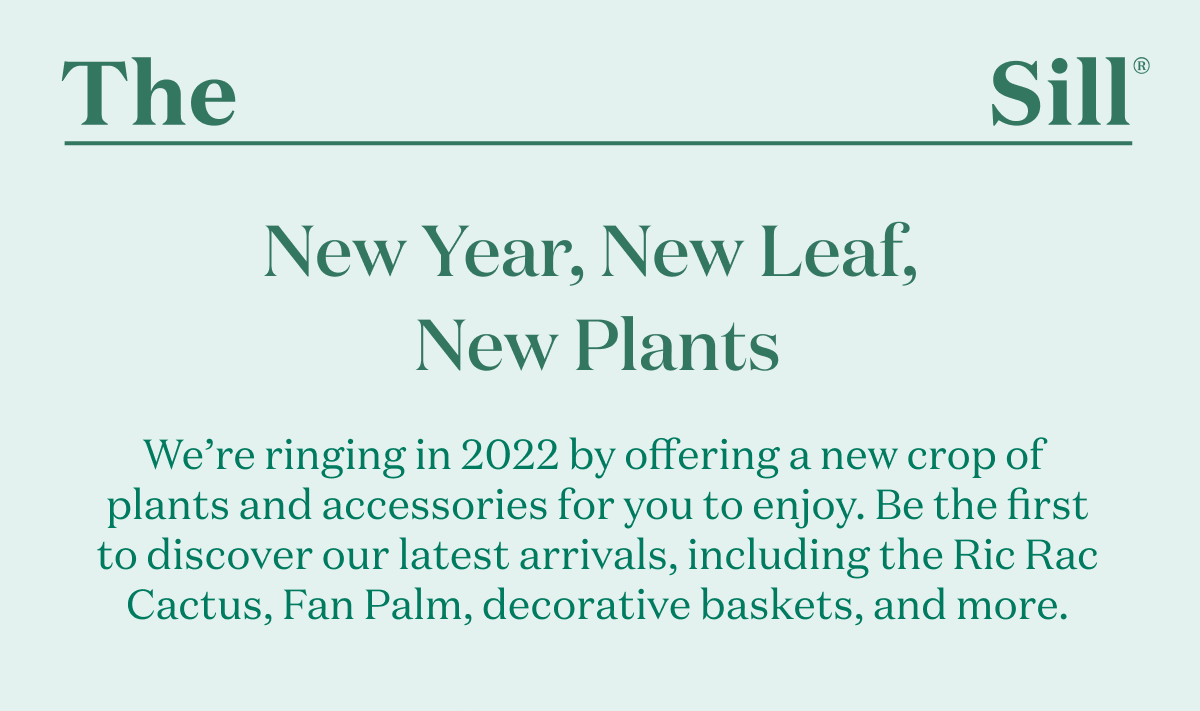 New Year, New Leaf, New Plants. We’re ringing in 2022 by offering a new crop of plants and accessories for you to enjoy. Be the first to discover our latest arrivals. 