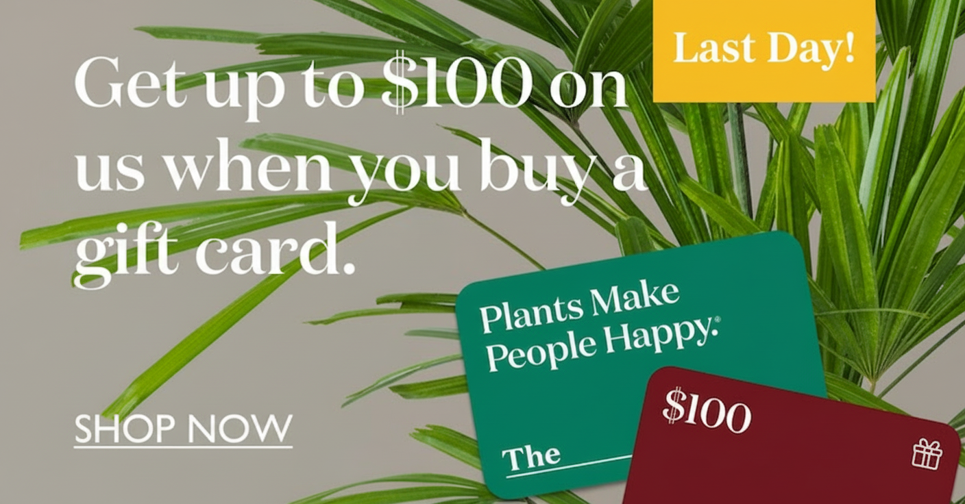 an image of a plant with a gift card on it