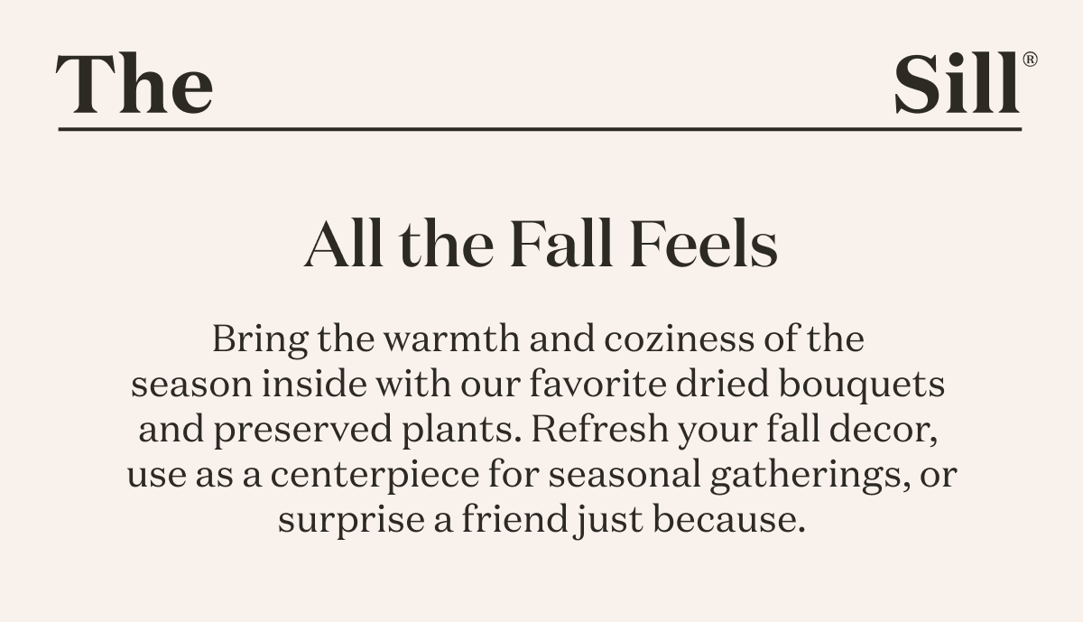 Bring the warmth and coziness of the season inside with our favorite dried bouquets and preserved plants. Refresh your fall decor, use as a centerpiece for seasonal gatherings, or surprise a friend just because. 