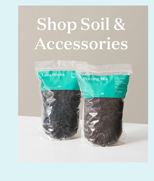 Shop Soil & Accessories