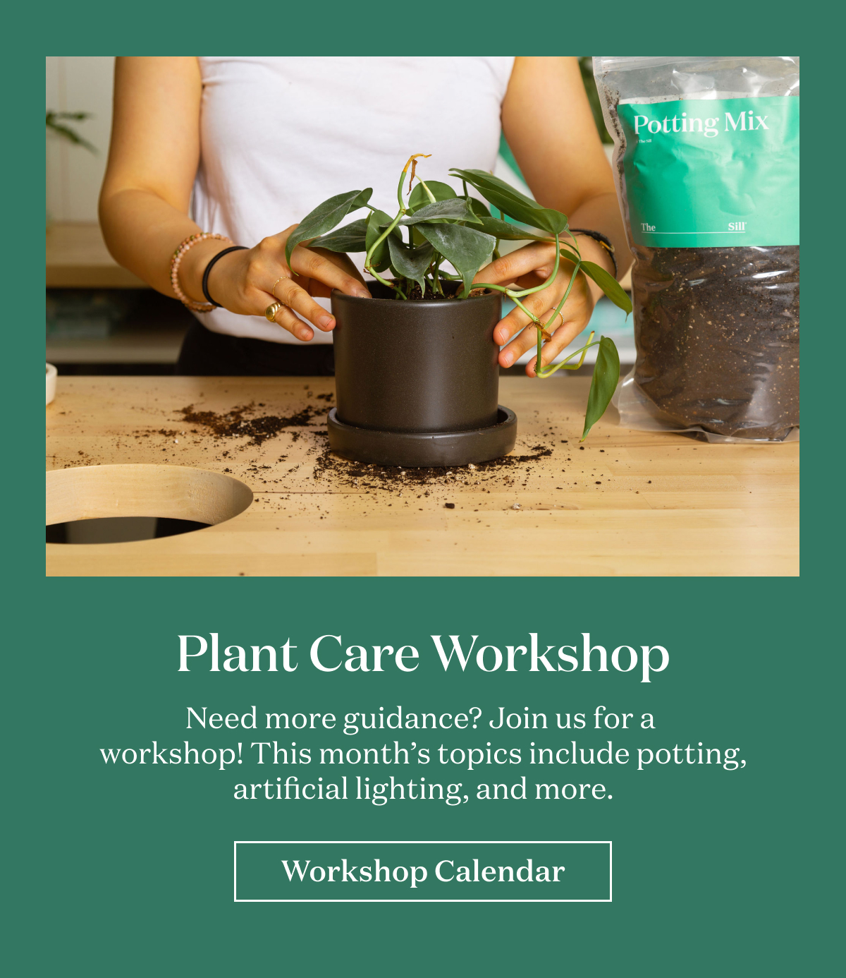 Plant Care Workshop. Need more guidance? Join us for a workshop!
