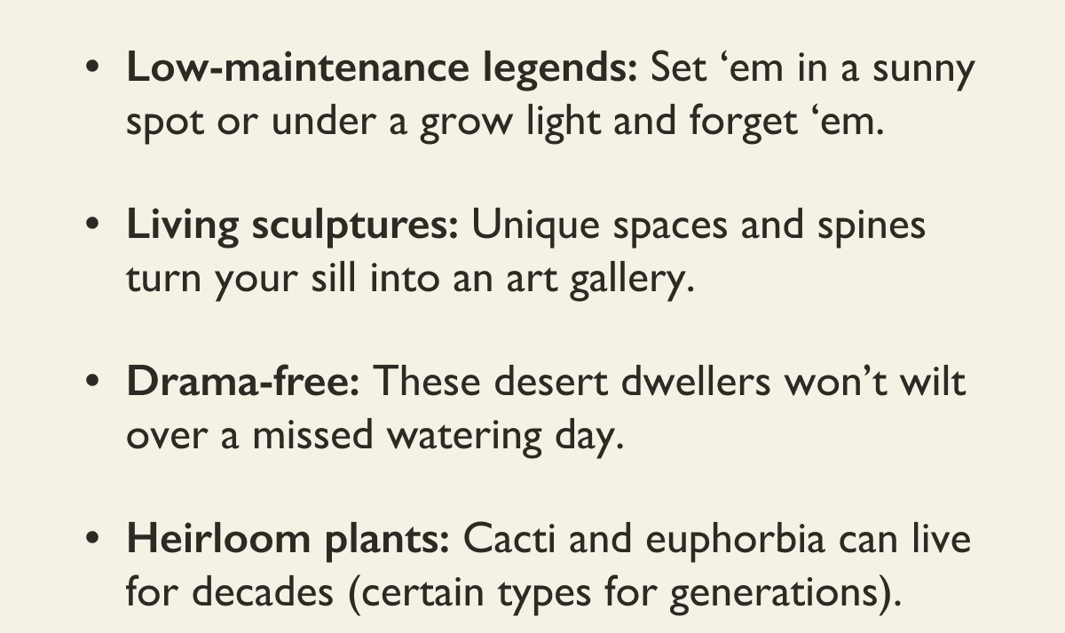 Why We Love Cacti: Low-maintenance legends, living sculptures, drama-free, heirloom plants. 