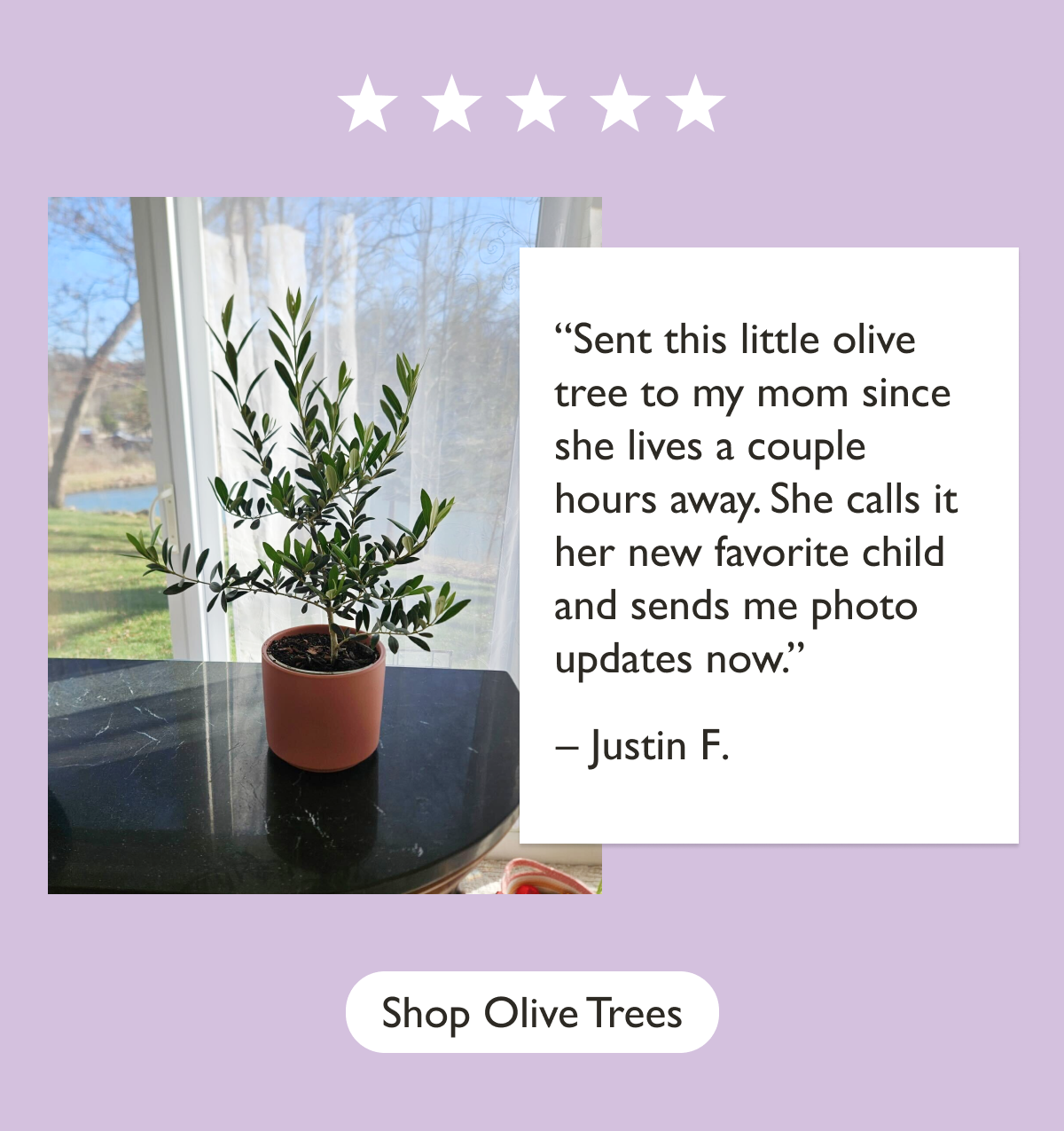 “Sent this little olive tree to my mom since she lives a couple hours away. She calls it her new favorite child and sends me photo updates now.”