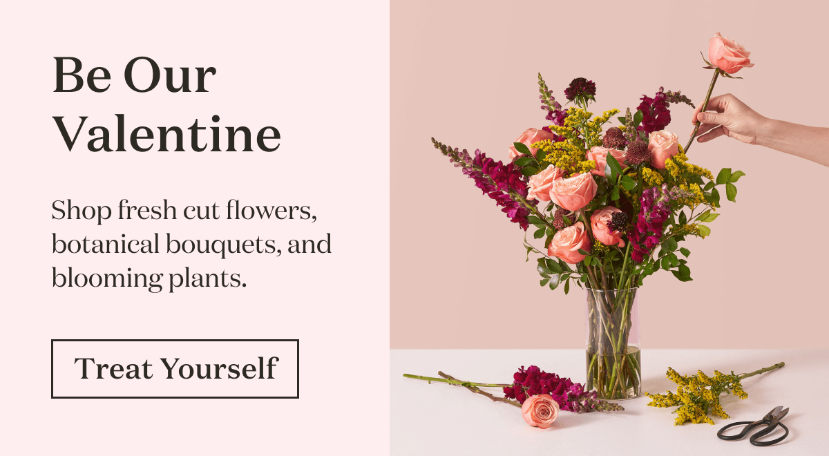 Be Our Valentine. 