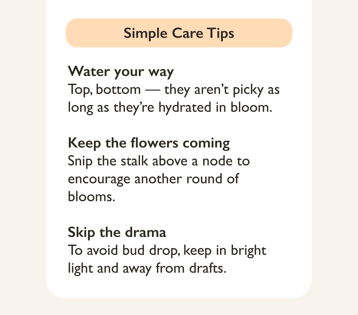 Simple Orchid Care Tips