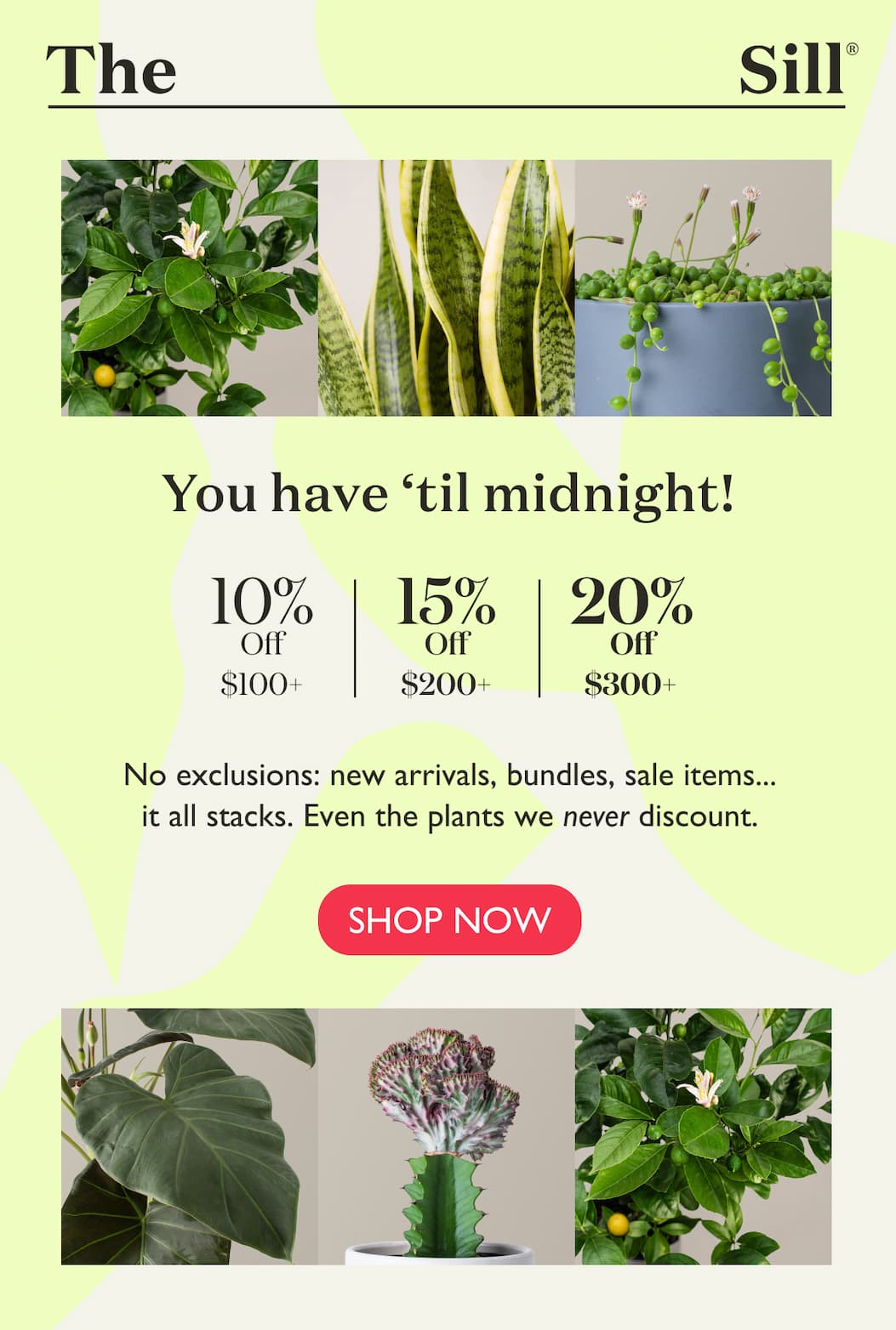 The Summer Solstice Sale ends at midnight! Shop now for up to 20% off sitewide. 