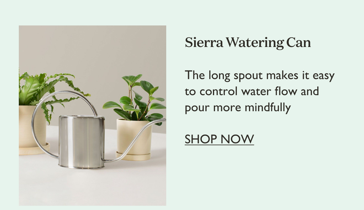 Sierra Watering Can: The long spout makes it easy to control water flow and pour more mindfully