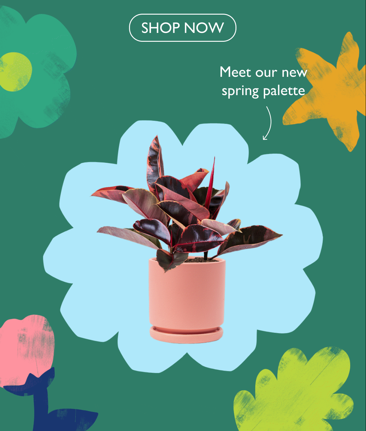 Meet our new spring palette of planters.