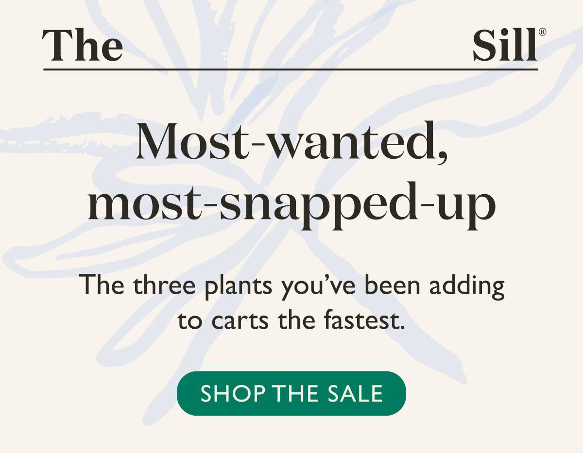 Most wanted, most snapped up. The three plants you've been adding to carts the fastest. 