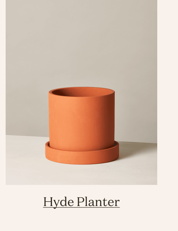 Pick Your Planter Hyde Planter