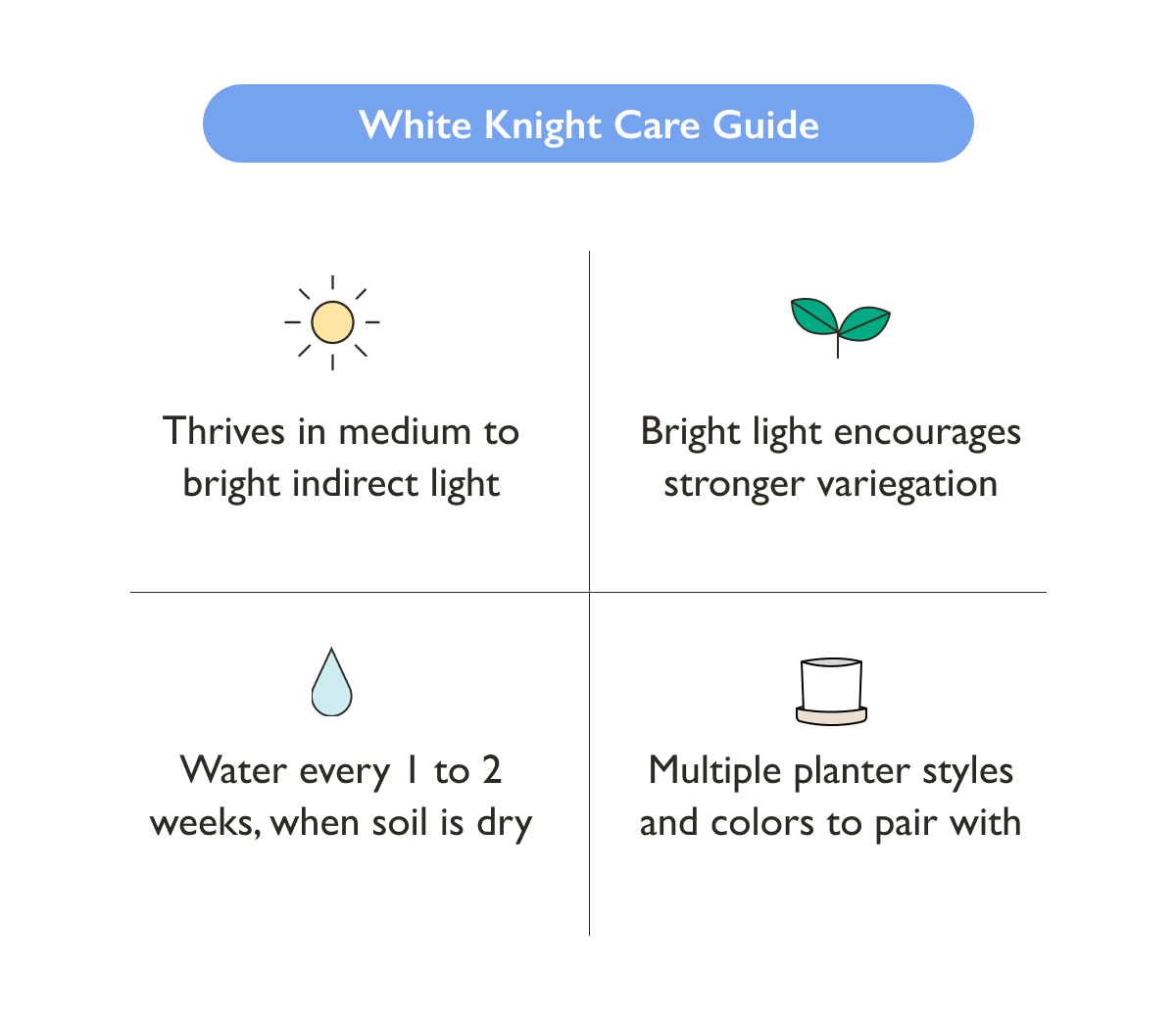Plant Care Guide