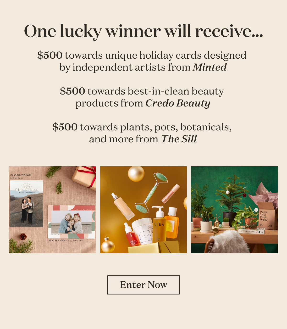 One lucky winner will receive... $500 towards unique holiday cards designed  by independent artists from Minted  $500 towards organic beauty products  from Credo Beauty  $500 towards plants, pots, botanicals,  and more from The Sill