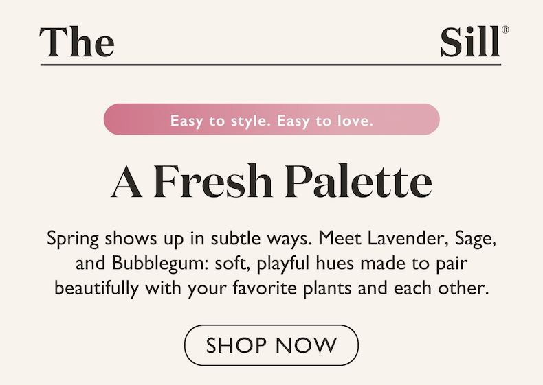 Meet Lavender, Sage, and Bubblegum: soft, playful hues made to pair beautifully with your favorite plants and each other.